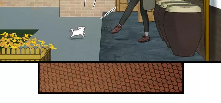 饲狼法则韩漫全集-第64话 我是不是忘记了什么？无删减无遮挡章节图片 