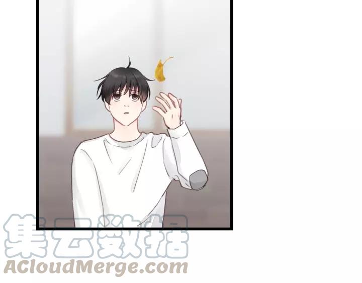 饲狼法则韩漫全集-第70话 不许一个人哭！无删减无遮挡章节图片 