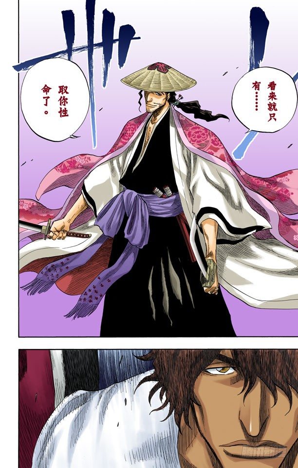 死神/BLEACH（全彩版）韩漫全集-对抗的理由无删减无遮挡章节图片 
