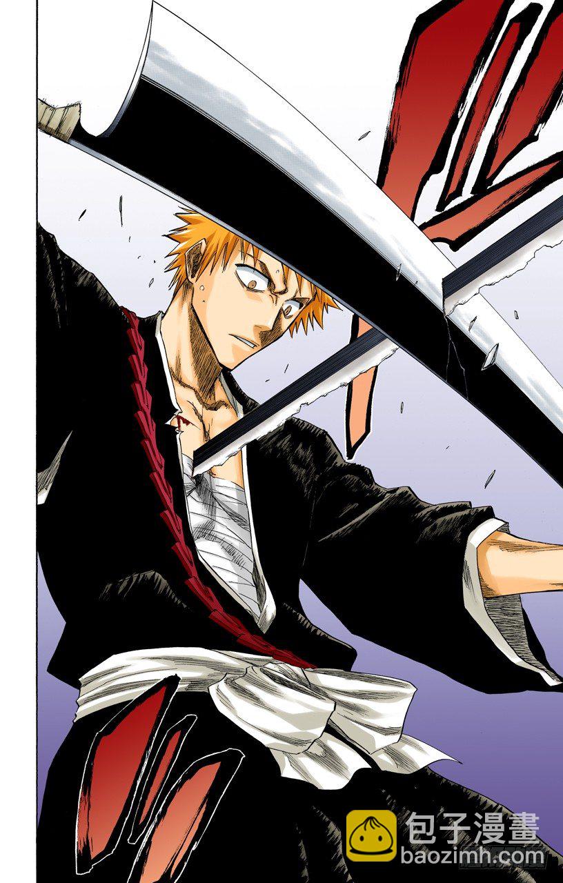死神/BLEACH（全彩版）韩漫全集-就像避免踩到花的老虎一样无删减无遮挡章节图片 