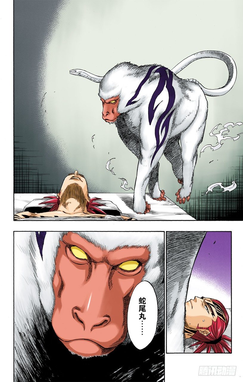 死神/BLEACH（全彩版）韩漫全集-非凡的标记无删减无遮挡章节图片 