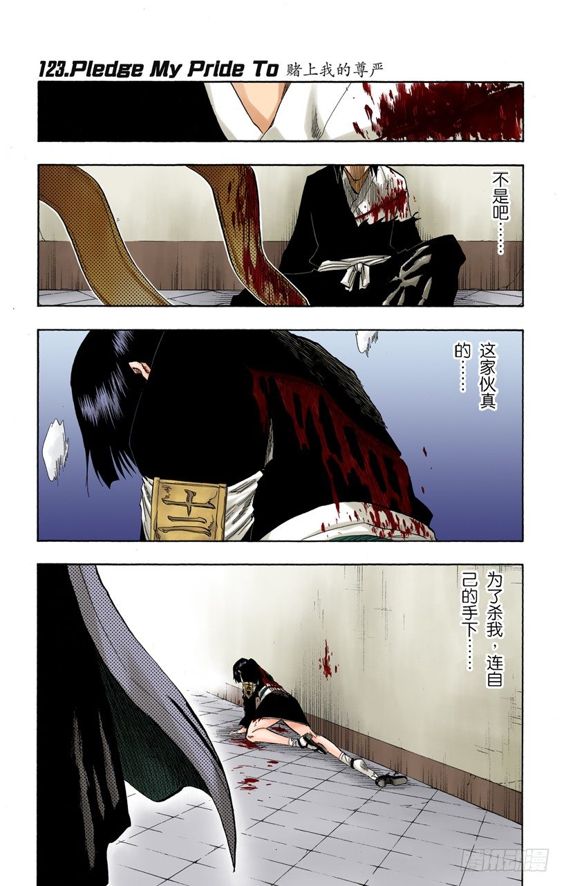 死神/BLEACH（全彩版）韩漫全集-赌上我的尊严无删减无遮挡章节图片 