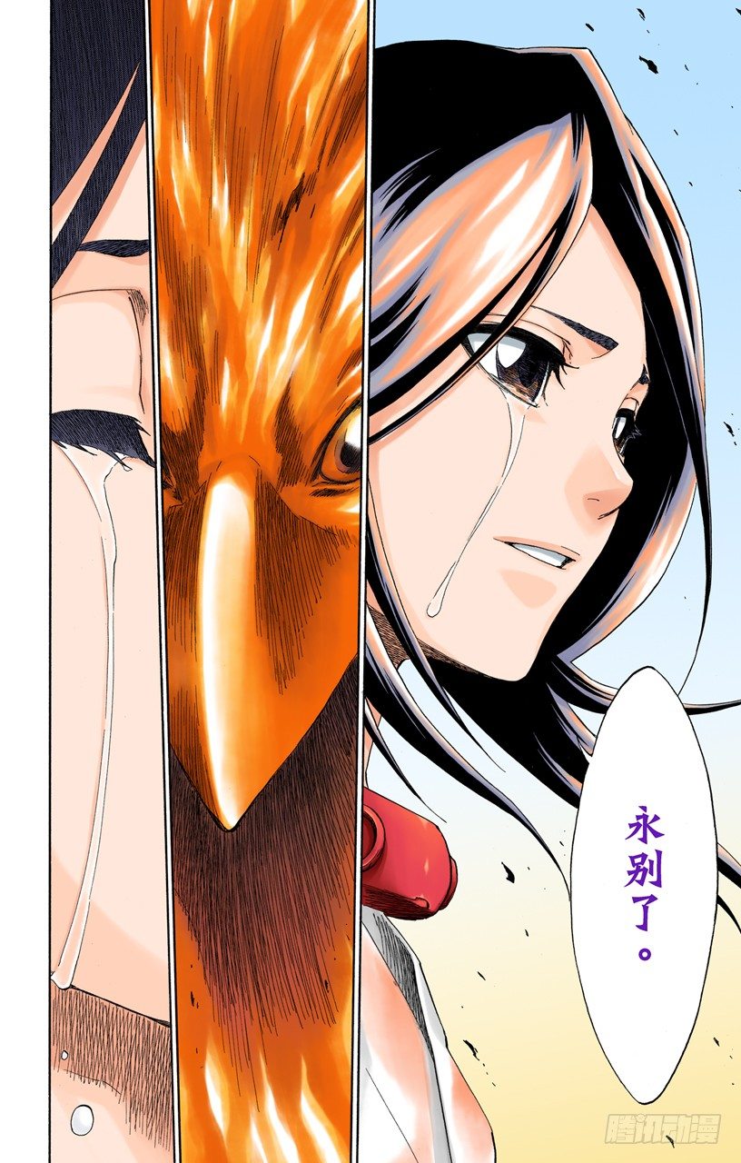 死神/BLEACH（全彩版）韩漫全集-终场倒计时：0无删减无遮挡章节图片 