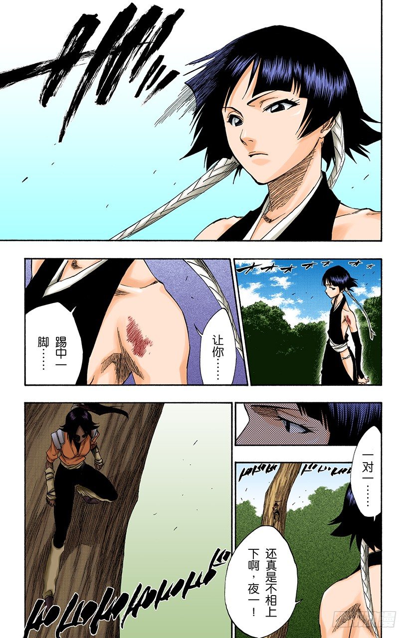 死神/BLEACH（全彩版）韩漫全集-猫与黄蜂无删减无遮挡章节图片 