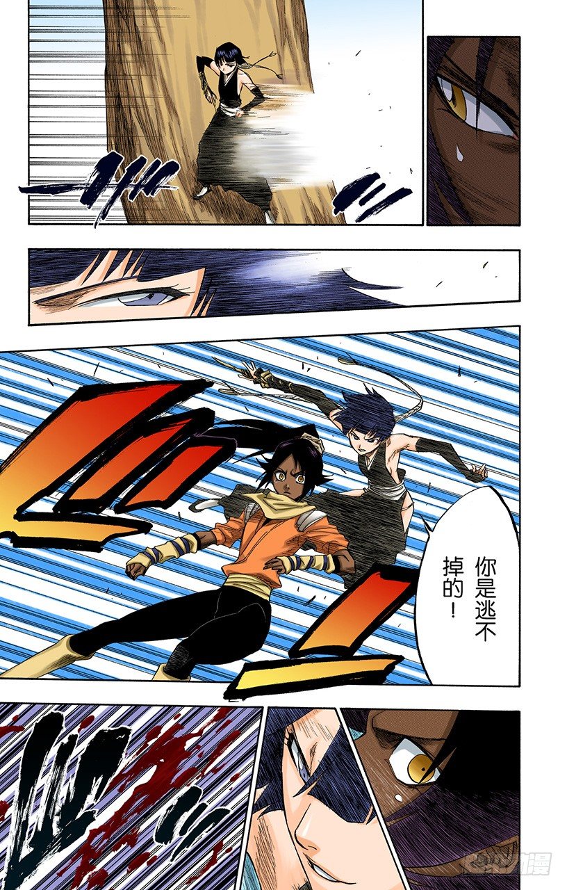 死神/BLEACH（全彩版）韩漫全集-猫与黄蜂无删减无遮挡章节图片 
