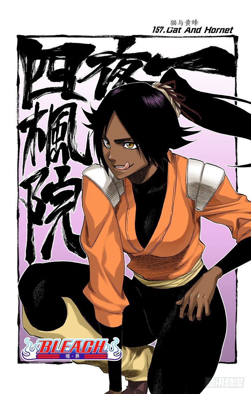 死神/BLEACH（全彩版）韩漫全集-猫与黄蜂无删减无遮挡章节图片 