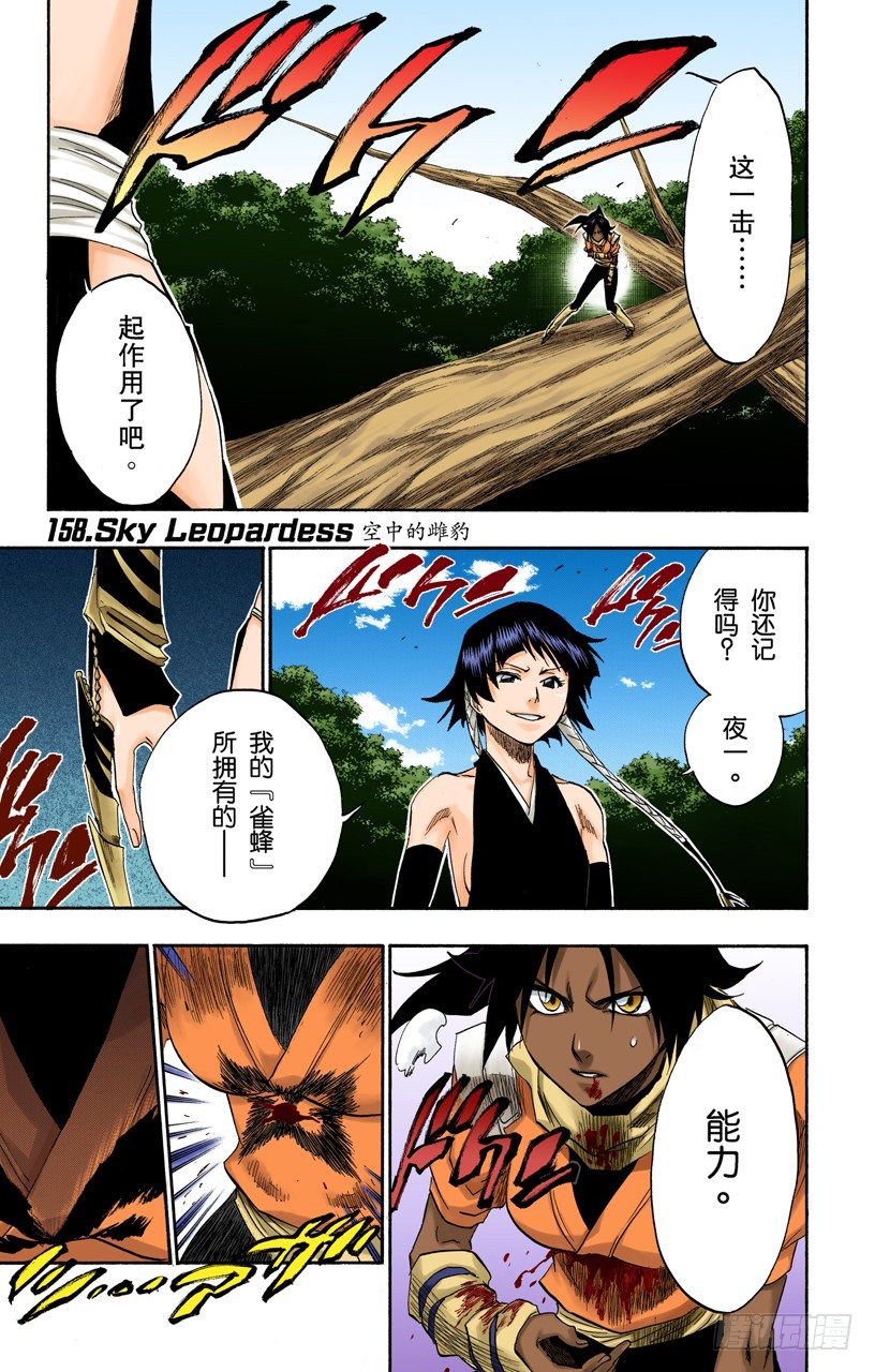 死神/BLEACH（全彩版）韩漫全集-空中的雌豹无删减无遮挡章节图片 