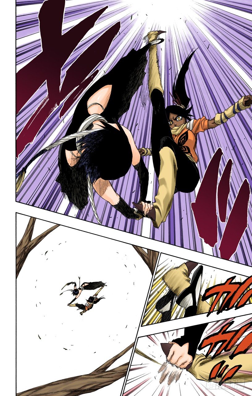 死神/BLEACH（全彩版）韩漫全集-空中的雌豹无删减无遮挡章节图片 