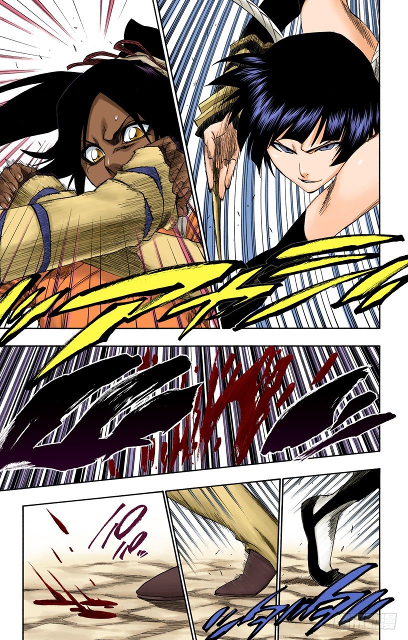 死神/BLEACH（全彩版）韩漫全集-空中的雌豹无删减无遮挡章节图片 