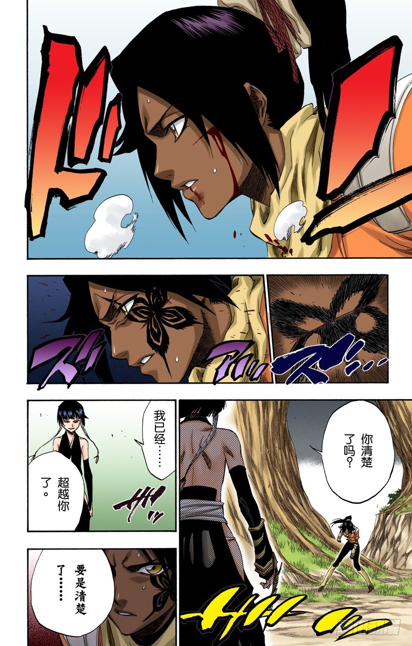 死神/BLEACH（全彩版）韩漫全集-空中的雌豹无删减无遮挡章节图片 