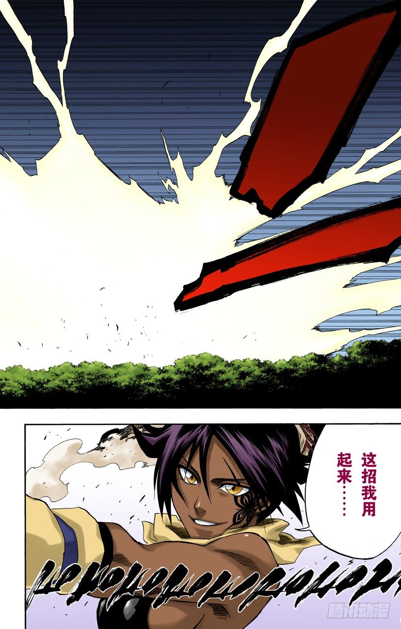 死神/BLEACH（全彩版）韩漫全集-空中的雌豹无删减无遮挡章节图片 