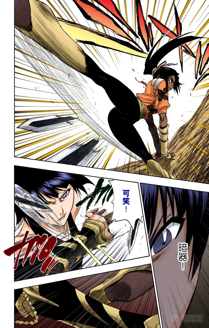 死神/BLEACH（全彩版）韩漫全集-空中的雌豹无删减无遮挡章节图片 