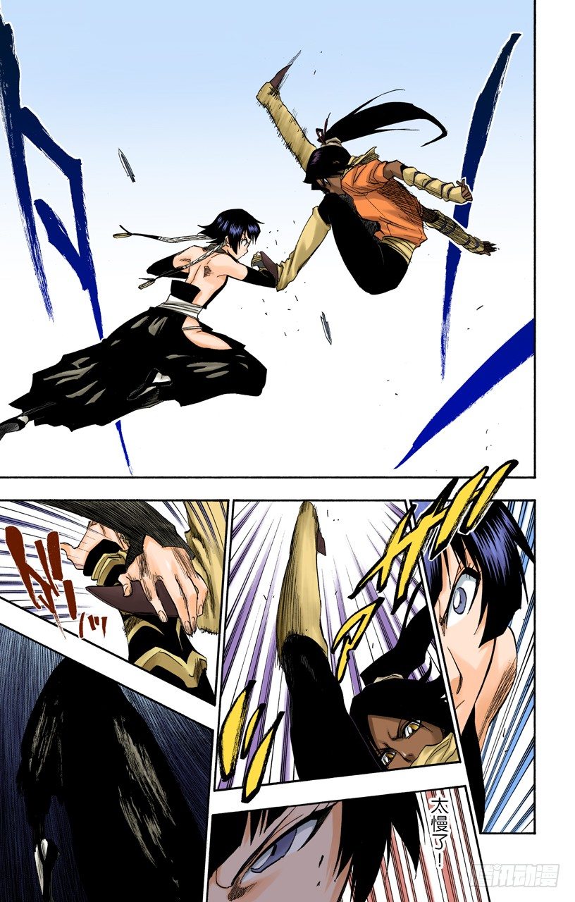 死神/BLEACH（全彩版）韩漫全集-空中的雌豹无删减无遮挡章节图片 
