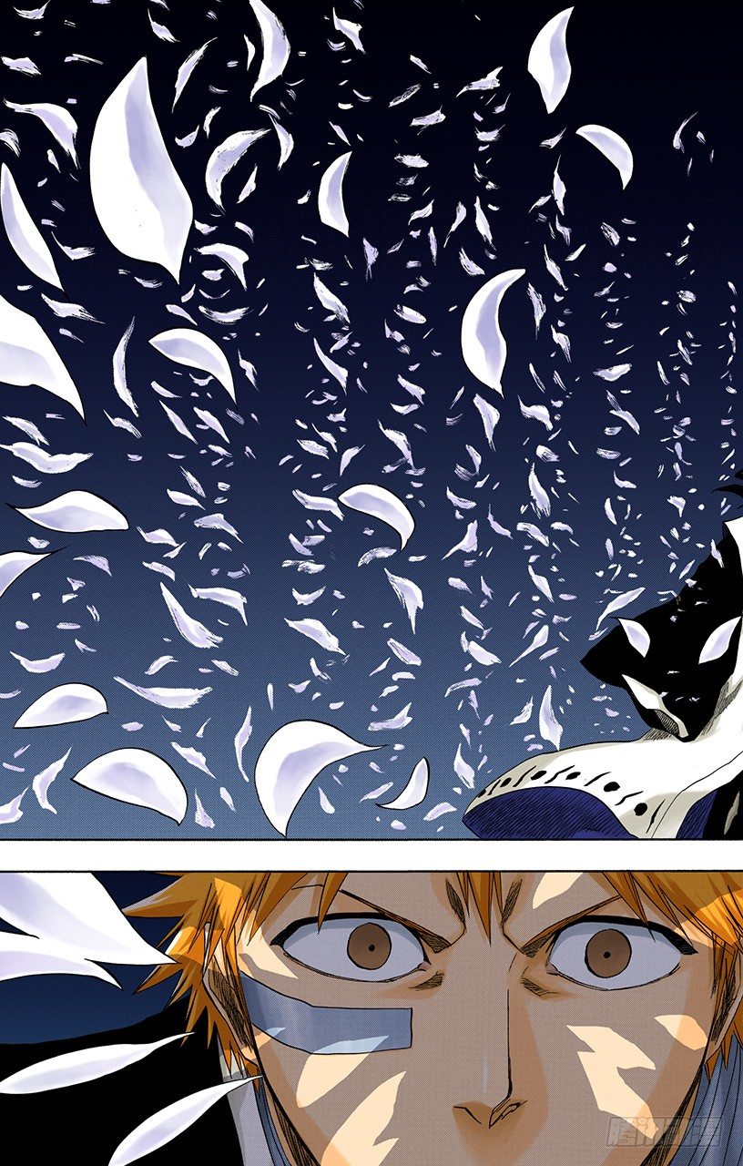 死神/BLEACH（全彩版）韩漫全集-撕裂的天空无删减无遮挡章节图片 