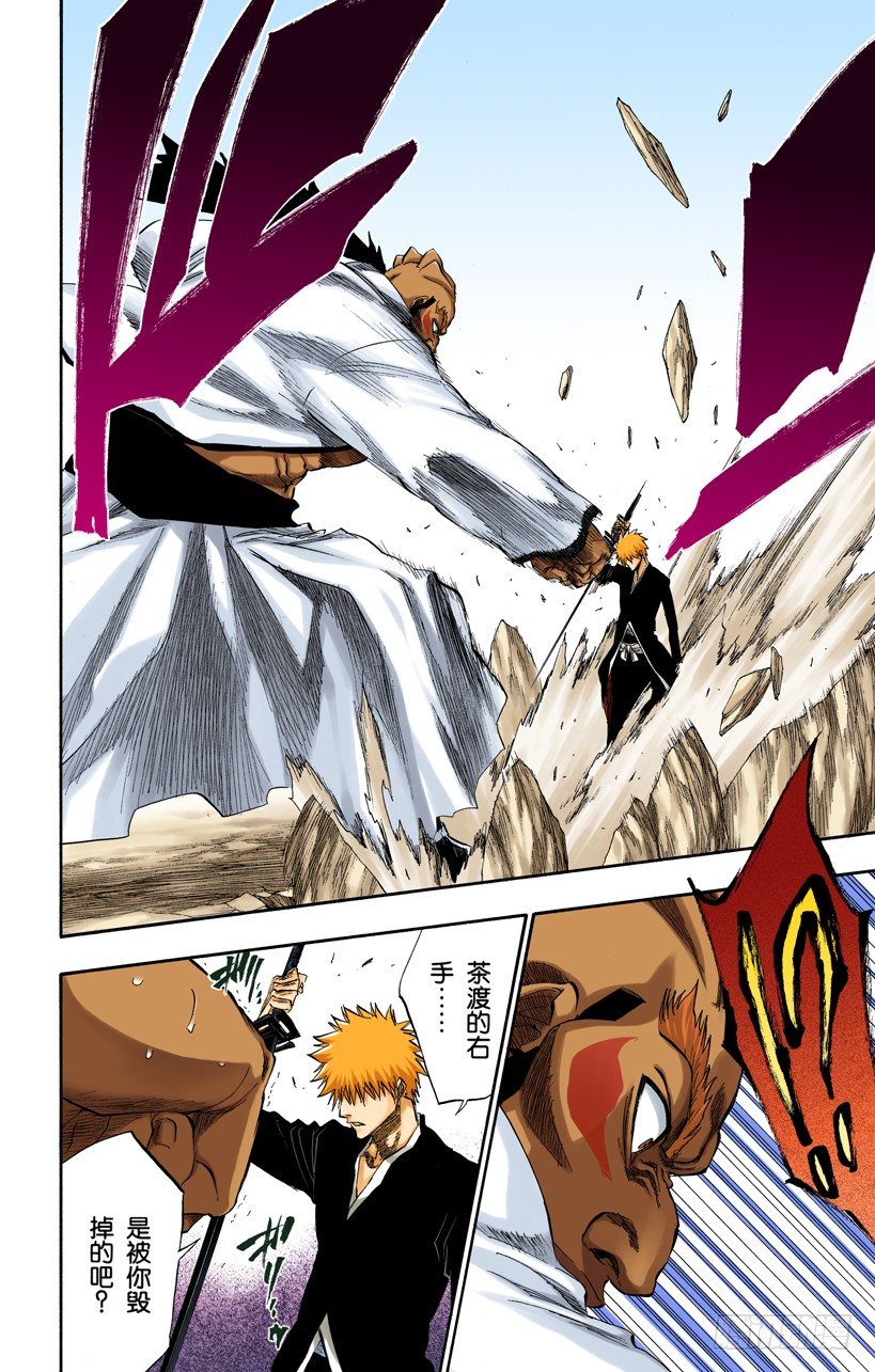 死神/BLEACH（全彩版）韩漫全集-征服者4[乌木黑与象牙白]无删减无遮挡章节图片 