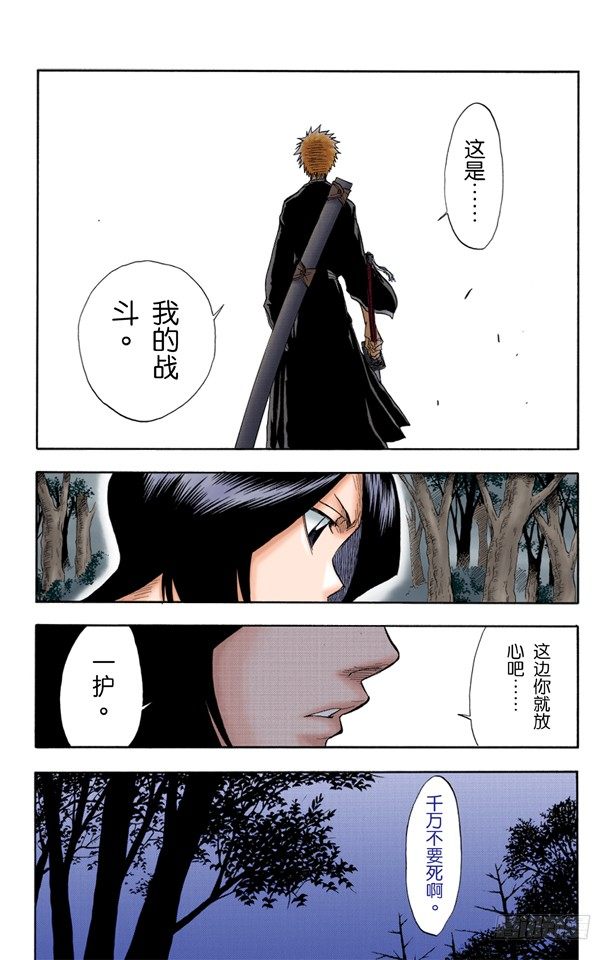 死神/BLEACH（全彩版）韩漫全集-6/17 “墓地中的战斗”无删减无遮挡章节图片 