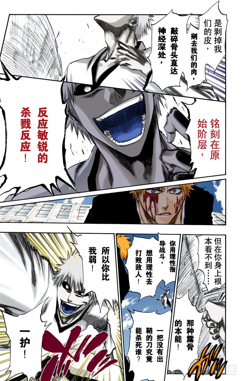 死神/BLEACH（全彩版）韩漫全集-王与坐骑无删减无遮挡章节图片 