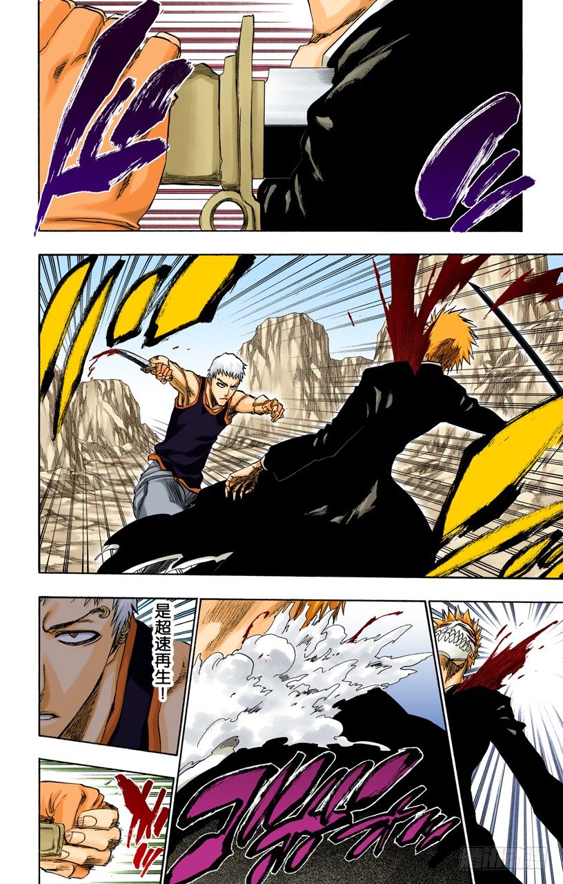 死神/BLEACH（全彩版）韩漫全集-王与坐骑无删减无遮挡章节图片 