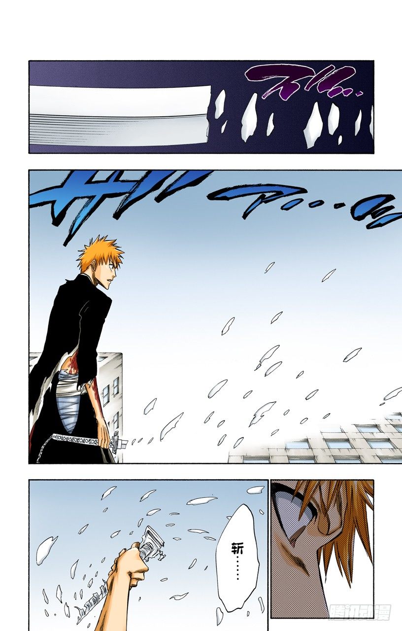 死神/BLEACH（全彩版）韩漫全集-王与坐骑无删减无遮挡章节图片 