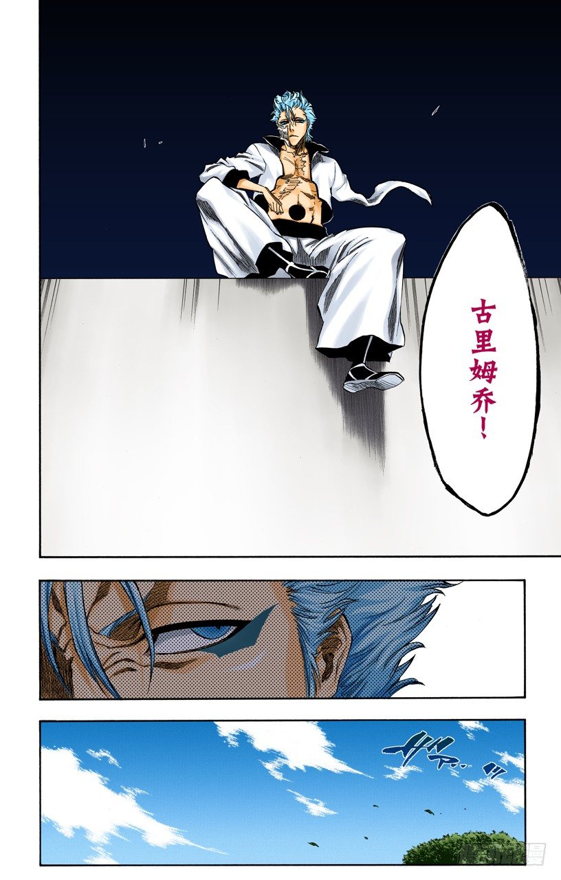 死神/BLEACH（全彩版）韩漫全集-嘶吼的风暴无删减无遮挡章节图片 