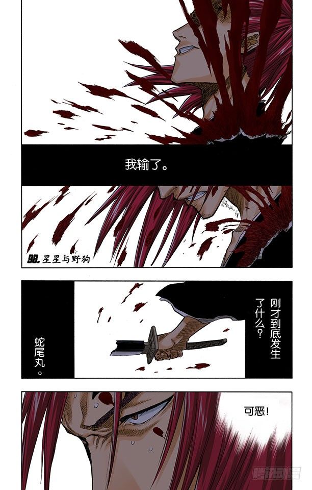 死神/BLEACH（全彩版）韩漫全集-星星与野狗无删减无遮挡章节图片 