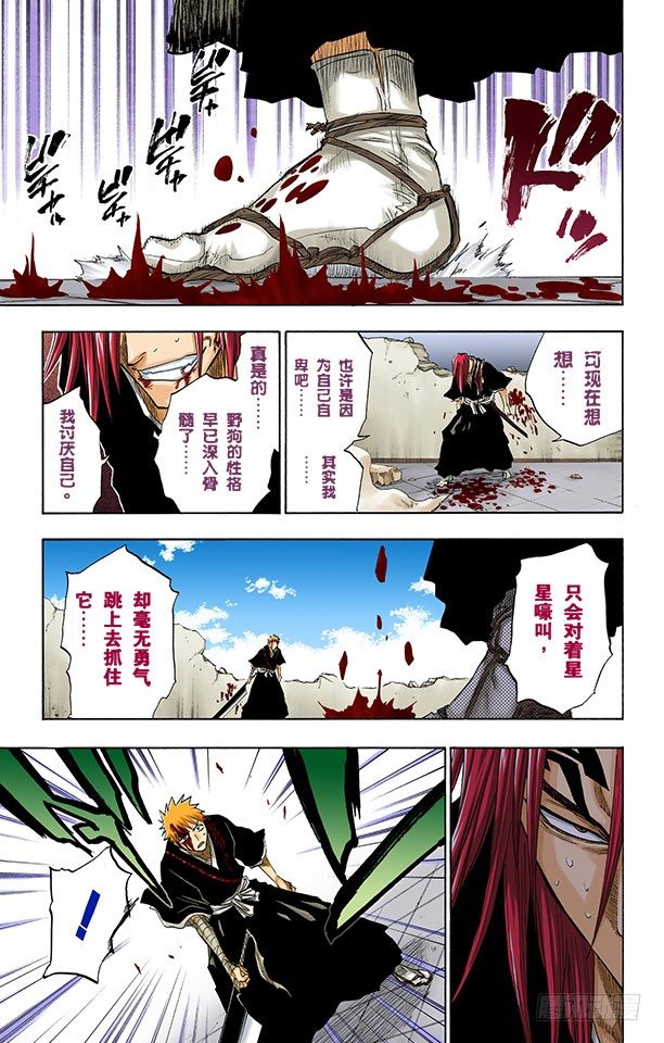 死神/BLEACH（全彩版）韩漫全集-星星与野狗无删减无遮挡章节图片 