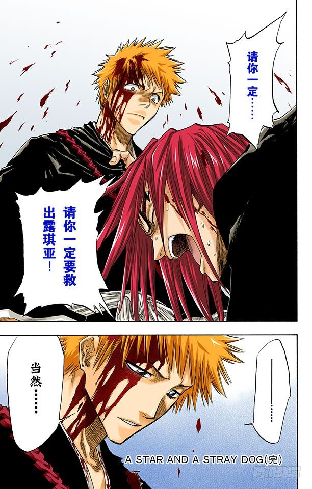 死神/BLEACH（全彩版）韩漫全集-星星与野狗无删减无遮挡章节图片 