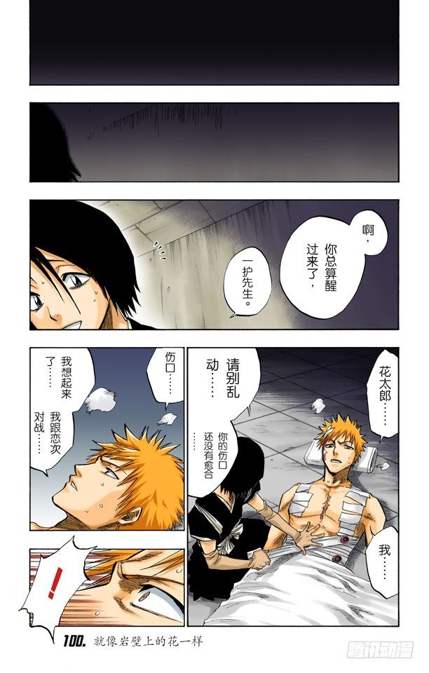 死神/BLEACH（全彩版）韩漫全集-就像岩壁上的花一样无删减无遮挡章节图片 