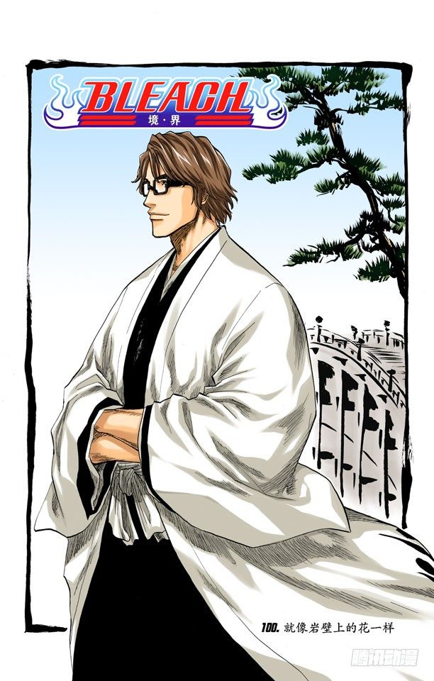 死神/BLEACH（全彩版）韩漫全集-就像岩壁上的花一样无删减无遮挡章节图片 
