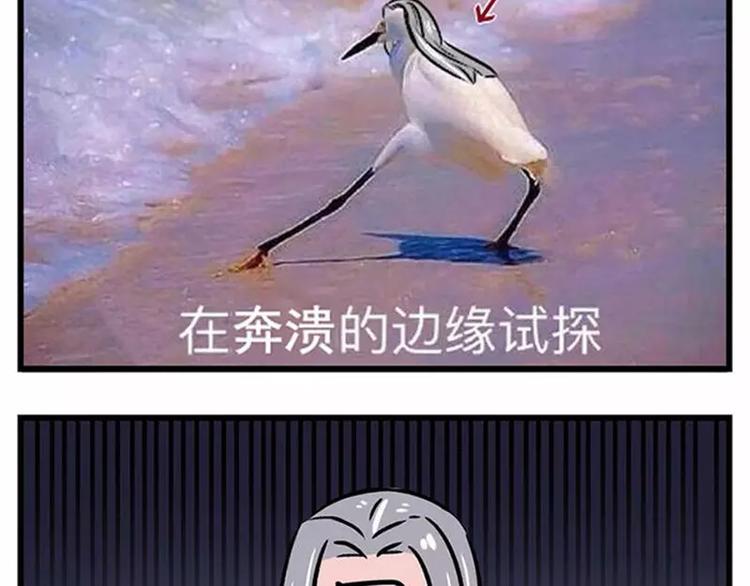 素菜包韩漫全集-不用持久，15分钟足够征服她无删减无遮挡章节图片 