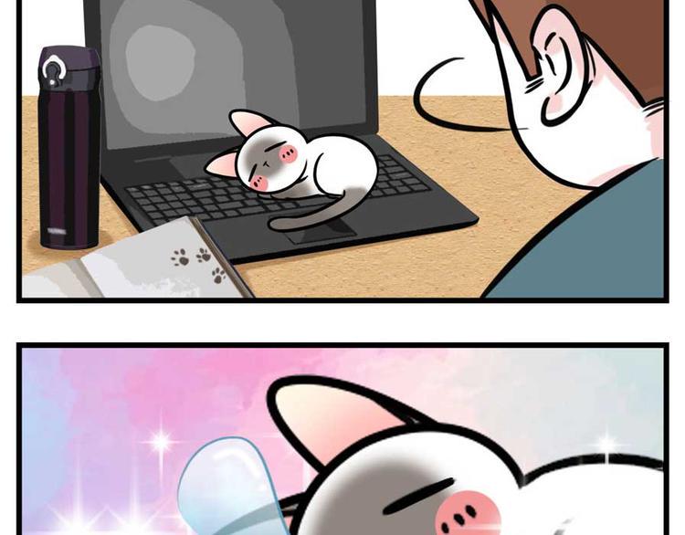 素菜包韩漫全集-我们猫奴就是这样的！无删减无遮挡章节图片 
