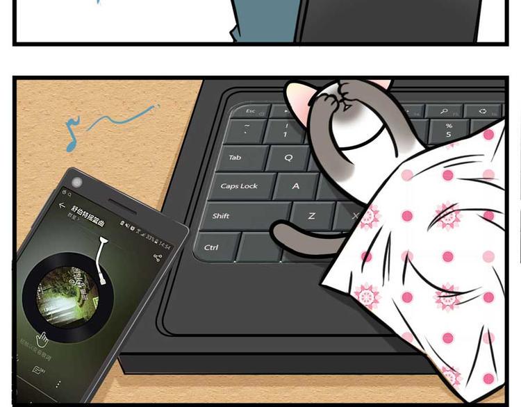 素菜包韩漫全集-我们猫奴就是这样的！无删减无遮挡章节图片 