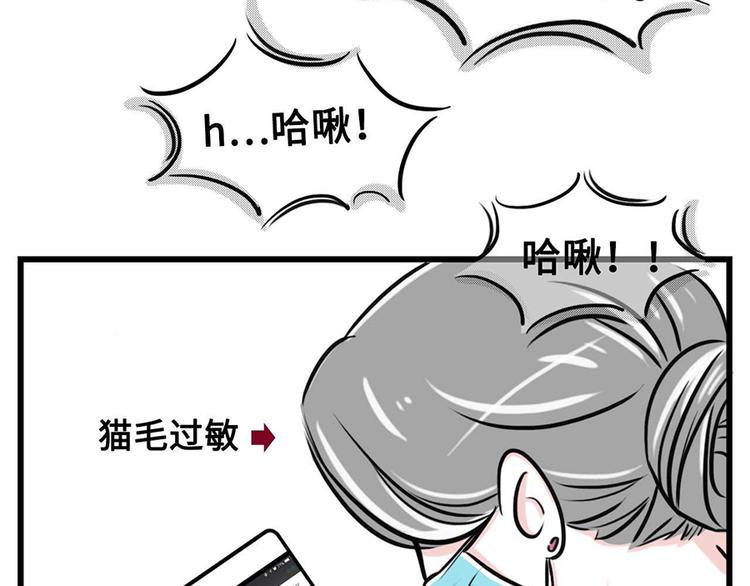 素菜包韩漫全集-我们猫奴就是这样的！无删减无遮挡章节图片 