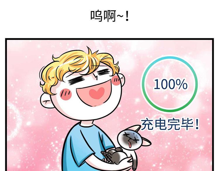 素菜包韩漫全集-我们猫奴就是这样的！无删减无遮挡章节图片 