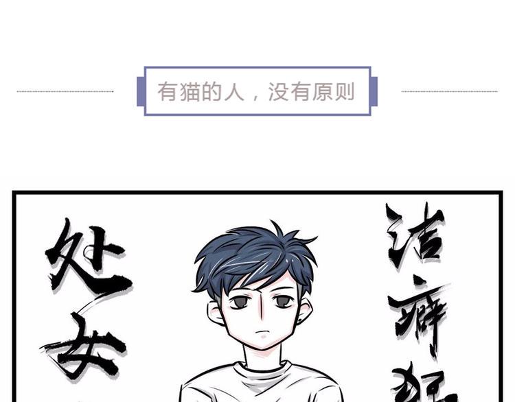 素菜包韩漫全集-我们猫奴就是这样的！无删减无遮挡章节图片 