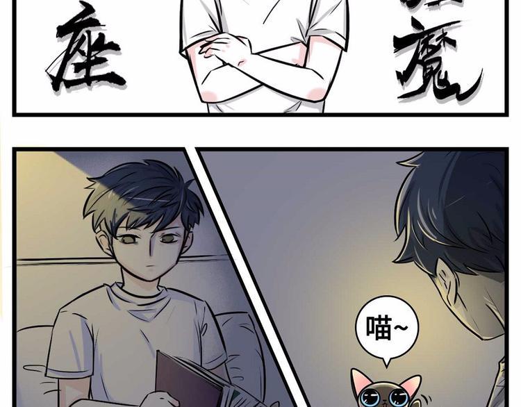 素菜包韩漫全集-我们猫奴就是这样的！无删减无遮挡章节图片 