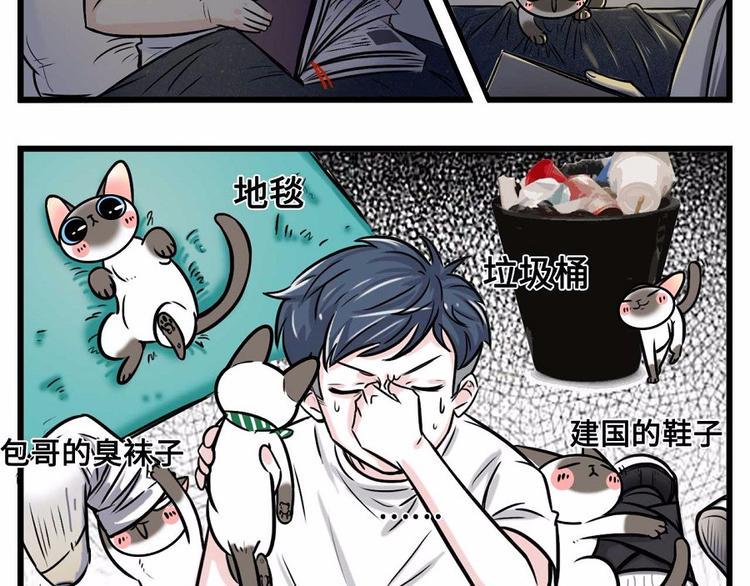 素菜包韩漫全集-我们猫奴就是这样的！无删减无遮挡章节图片 