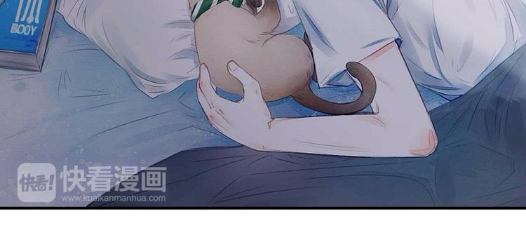 素菜包韩漫全集-我们猫奴就是这样的！无删减无遮挡章节图片 