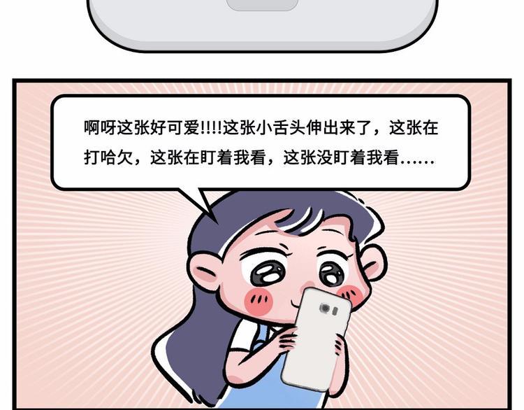 素菜包韩漫全集-我们猫奴就是这样的！无删减无遮挡章节图片 