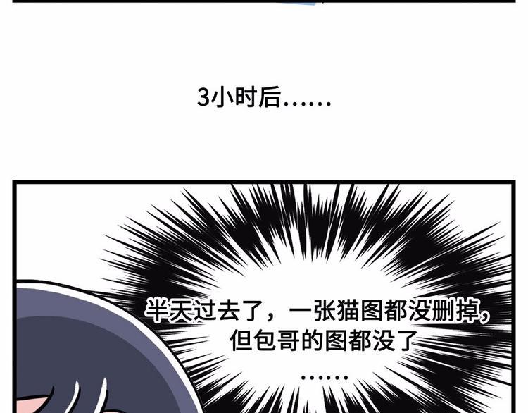 素菜包韩漫全集-我们猫奴就是这样的！无删减无遮挡章节图片 