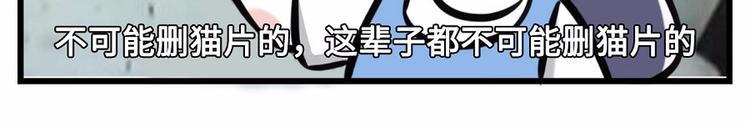 素菜包韩漫全集-我们猫奴就是这样的！无删减无遮挡章节图片 