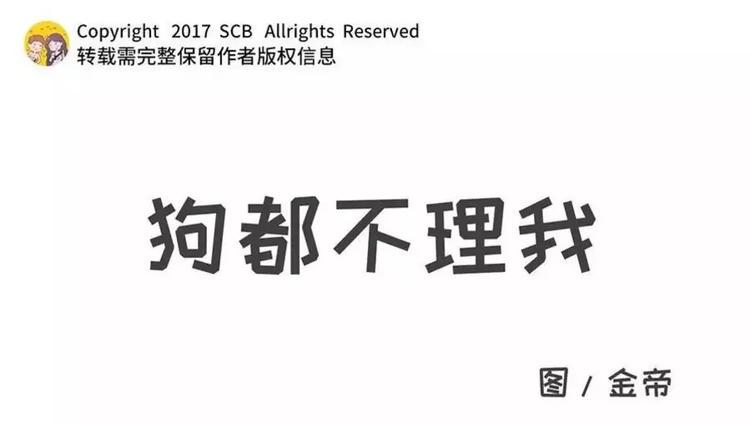 素菜包韩漫全集-狗狗发现少女惊人的秘密无删减无遮挡章节图片 