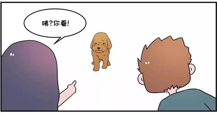 素菜包韩漫全集-狗狗发现少女惊人的秘密无删减无遮挡章节图片 