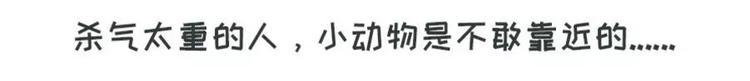 素菜包韩漫全集-狗狗发现少女惊人的秘密无删减无遮挡章节图片 