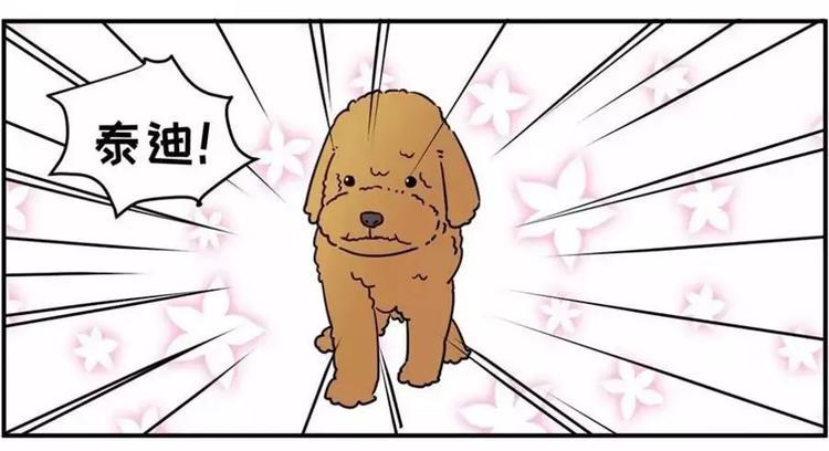 素菜包韩漫全集-狗狗发现少女惊人的秘密无删减无遮挡章节图片 