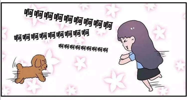 素菜包韩漫全集-狗狗发现少女惊人的秘密无删减无遮挡章节图片 