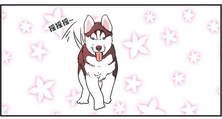 素菜包韩漫全集-狗狗发现少女惊人的秘密无删减无遮挡章节图片 