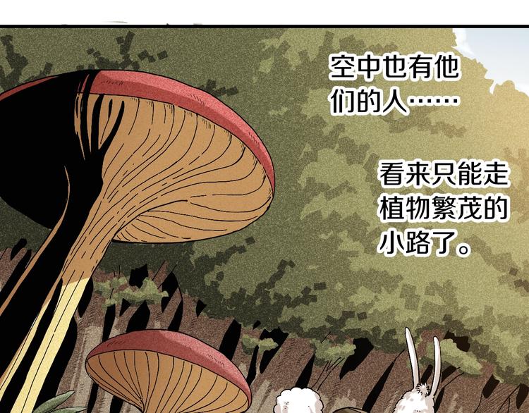 桃与末世之书韩漫全集-第49话 捉迷藏！无删减无遮挡章节图片 