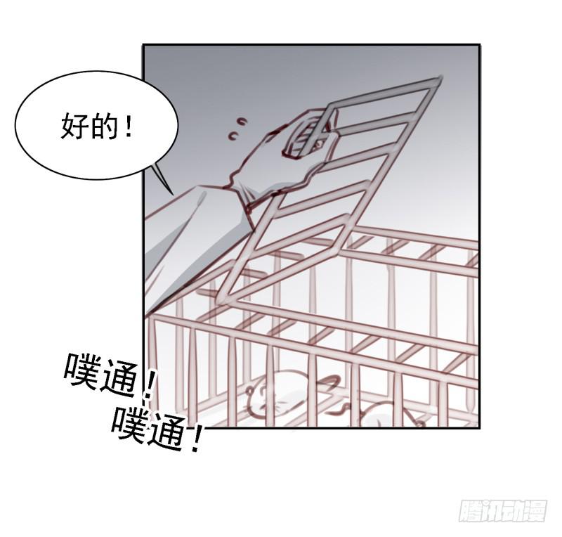 他与她的秘密韩漫全集-第六话 我们的秘密 上无删减无遮挡章节图片 