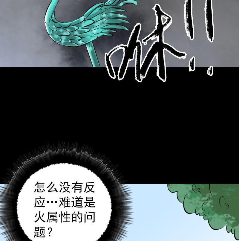 天降横祸韩漫全集-第308话 浴火重生无删减无遮挡章节图片 